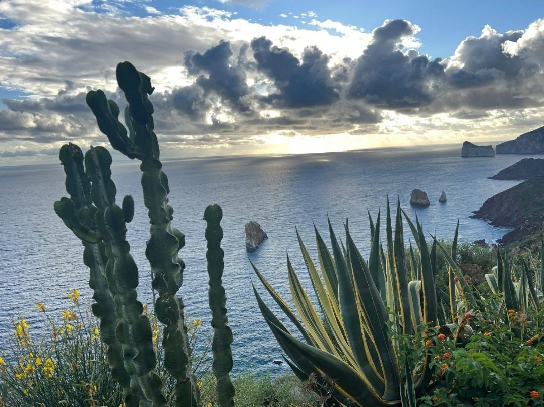 Casa Vacanza Sa Dommu De Teresa Nebida Exteriör bild