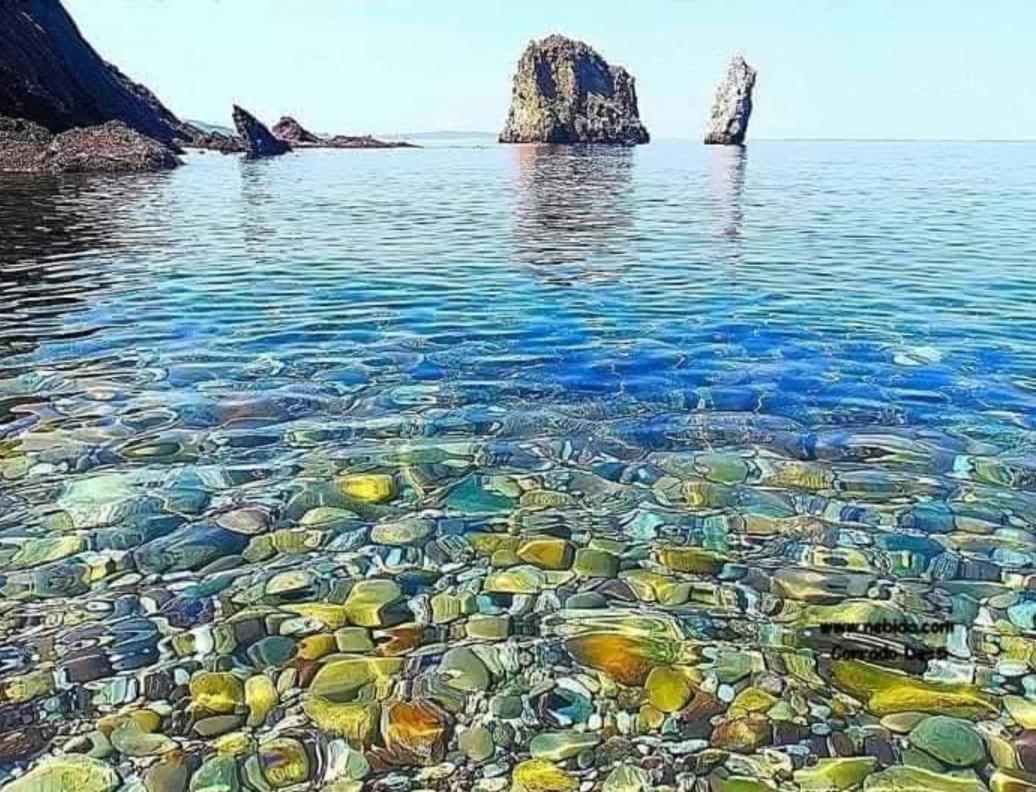 Casa Vacanza Sa Dommu De Teresa Nebida Exteriör bild